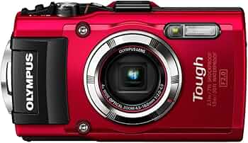 61e10E1vwRL._AC_UF350,