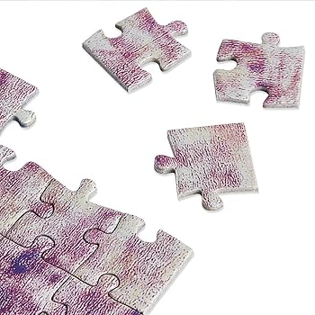 61ebnpiBGoL._AC_UF350,