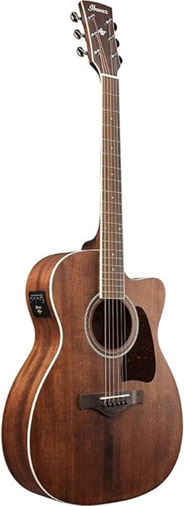 Amazon.com: Ibanez Artwood AC340CE - Open Pore Natural : Musical
