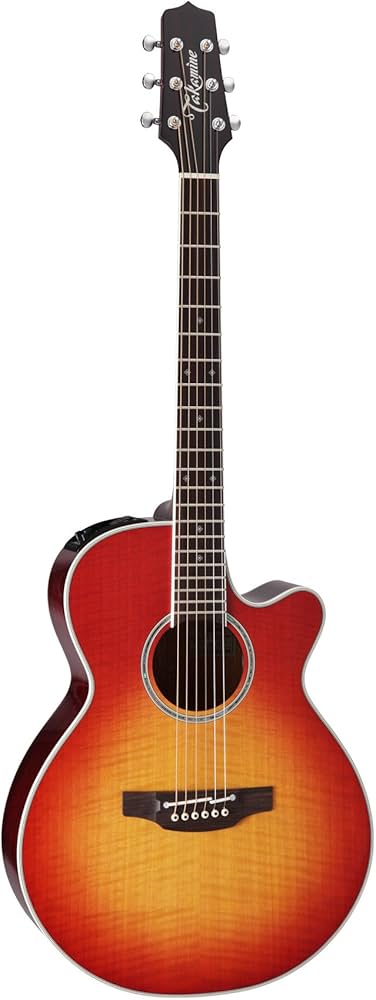 Amazon.co.jp: TAKAMINE PTU121C FCB エレクトリックアコースティック