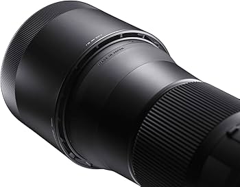 Amazon.com : Sigma 150-600mm 5-6.3 Contemporary DG OS HSM Lens for