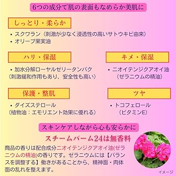 Amazon | 【公式】DEAZA（ディーザ） スチームバーム24+パウチつき