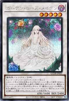 61ffIt+kBFL._AC_UF350,