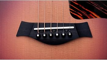 Amazon | Taylor/GS Mini-e Rosewood 50th VSB[50周年限定モデル][ES2