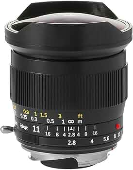 61fuPZF7zbL._AC_UF350,