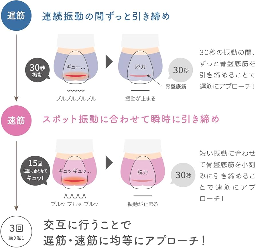 Amazon.co.jp: 【骨盤底筋 エクササイズクッション】hermot Pelmond