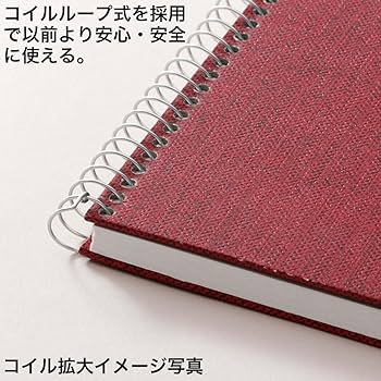 Amazon | マルマン スケッチブック アーチストメダリオン F0 レッド