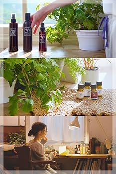 Amazon | oggi otto オッジィオット トライアルセット インプレッシブ