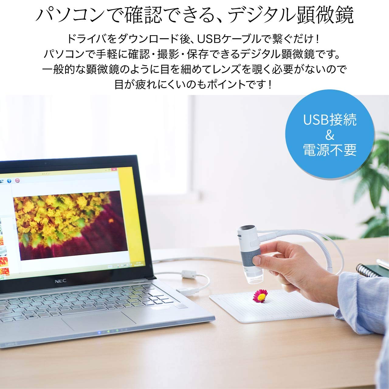 Amazon.co.jp: サンワダイレクト マイクロスコープ USB接続 PCで確認