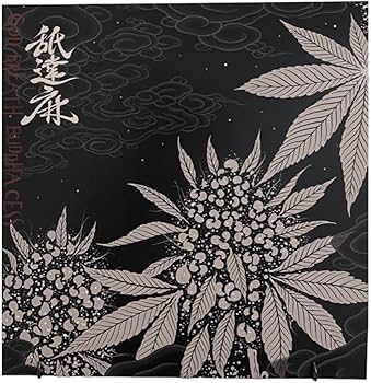 Amazon.co.jp: 舐達麻 レコード godbreath buddhacess lp 2lp : おもちゃ