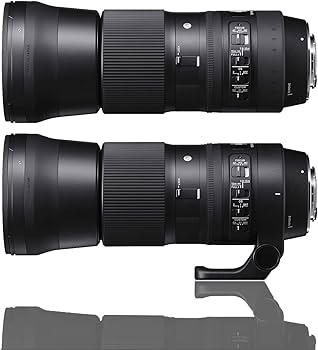 Amazon.co.jp: Sigma 150-600mm F5-6.3 DG OS HSM | C : Electronics