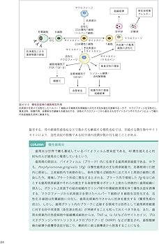 歯学生のための基礎病理学 | 髙田 隆, 豊澤 悟, 田沼 順一, 岡田 康男
