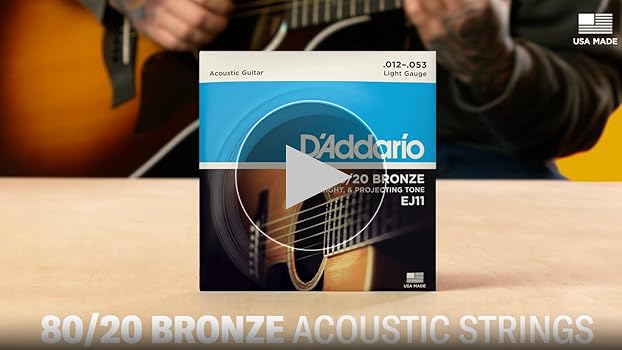 Amazon.com: D'Addario Acoustic Guitar Strings, 80/20 Bronze, EJ13