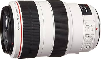 Amazon.com : Canon EF 70-300mm f/4-5.6L is USM UD Telephoto Zoom