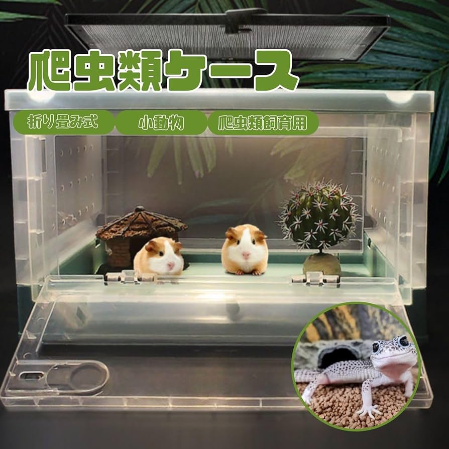 Amazon | EU SOU 折り畳み式 爬虫類ケージ ケース - リクガメ 両生類