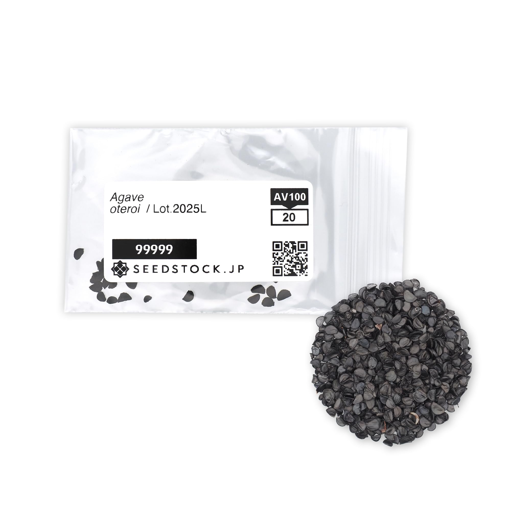 Amazon.co.jp: SEEDSTOCK アガベ オテロイ チタノタ 種子 100粒 Agave