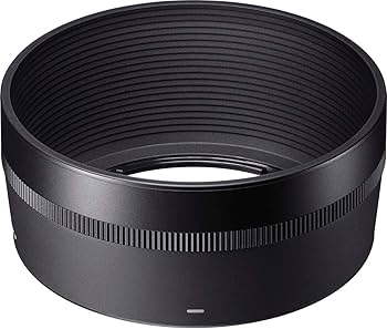 Amazon.com : Sigma 30mm F1.4 Contemporary DC DN Lens for Micro 4/3