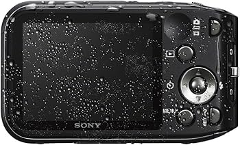 Amazon.com : Sony DSC-TF1/B 16 MP Waterproof Digital Camera with