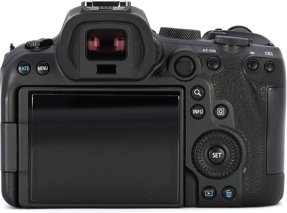 Amazon.co.jp: Canon Mirrorless Camera Body Only EOS R6 Body