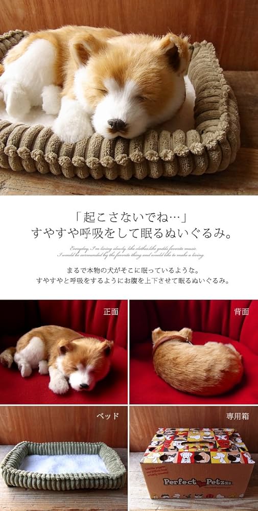 Amazon.co.jp: ニニアンドキノ パーフェクトペット (小サイズ) 柴犬 犬