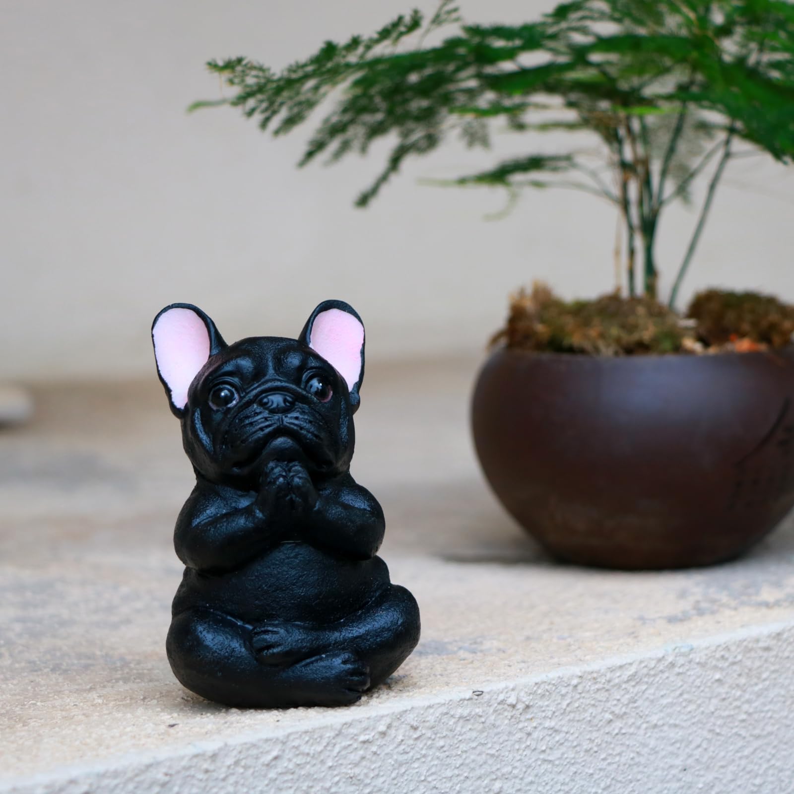 Amazon.com: MaPctSy Buddha-Zen Dog Meditation Statue, French