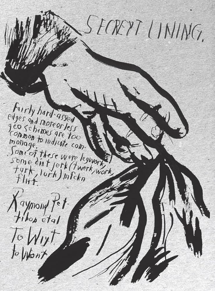 Raymond Pettibon: To Wit: Pettibon, Raymond: 9780989980944: Amazon