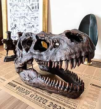 7172B6RjvTL._AC_UF350,