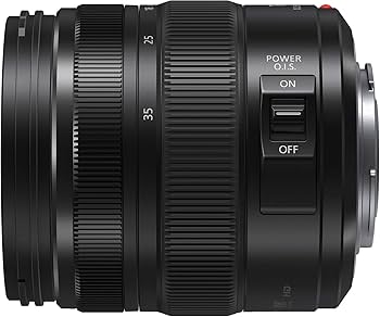 Amazon.com : Panasonic LUMIX Professional 12-35mm Camera Lens G X