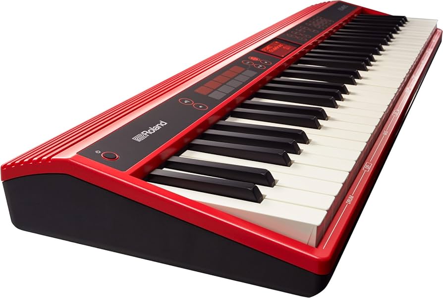 Amazon.co.jp: ローランド Entry Keyboard Roland GO-61K : Musical