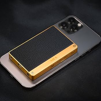 Amazon.co.jp: DACアンプ NiPO A100 Black ライポ: 家電＆カメラ