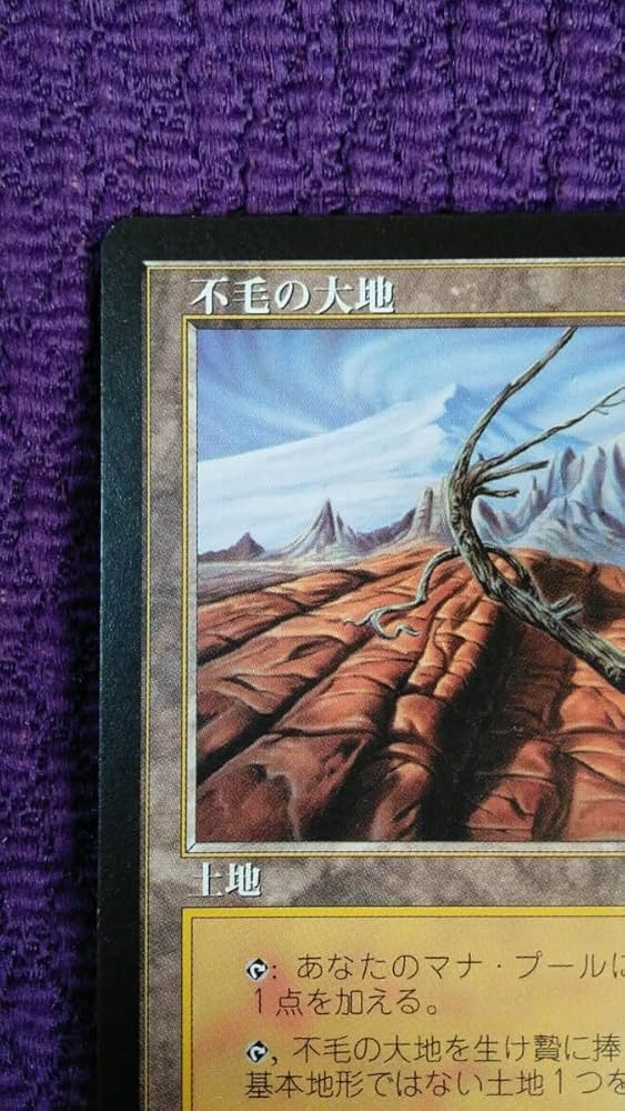 Foil】不毛の大地/Wasteland 旧枠 褒賞プログラム[DCIマーク] MTG 不毛