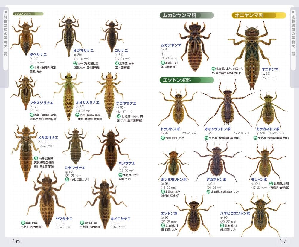 Amazon.com: ヤゴハンドブック (水生昆虫3): 9784829981610: Books