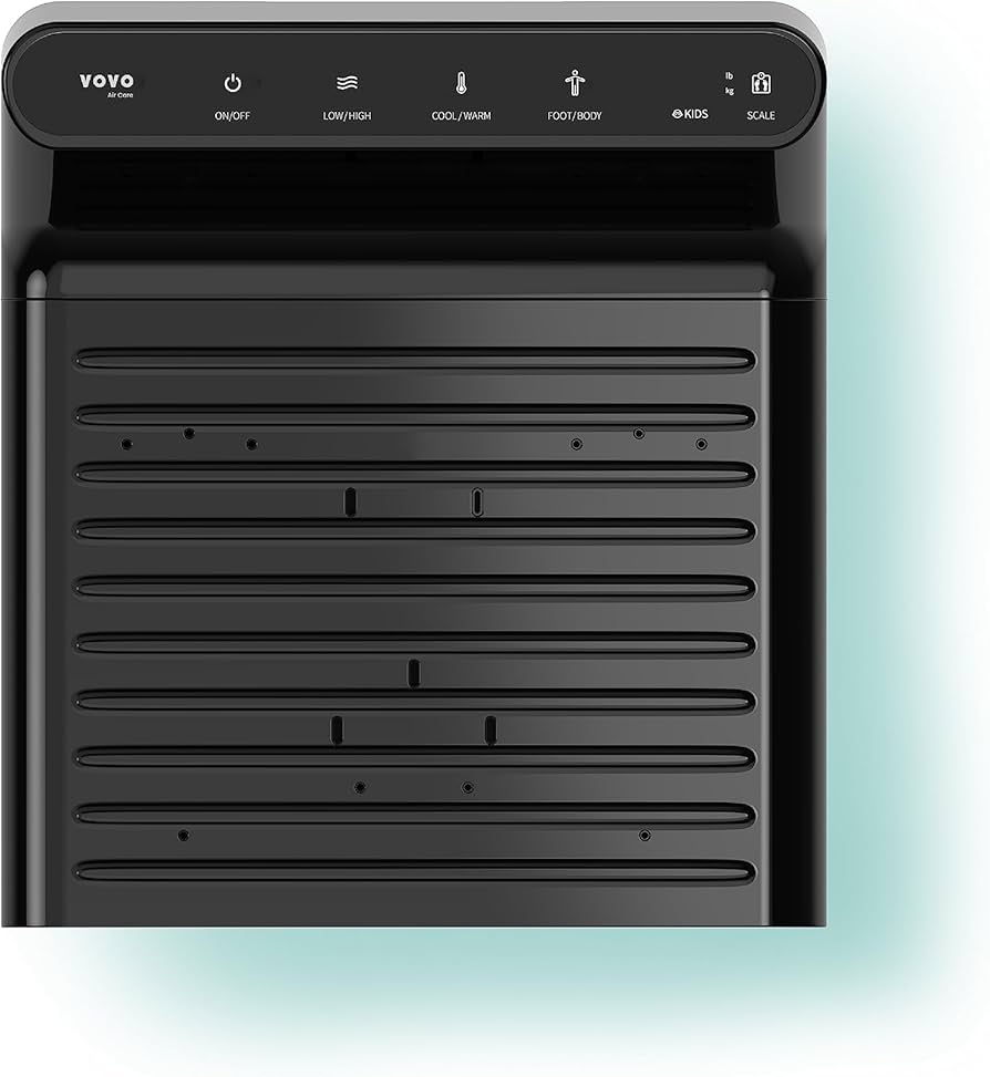 Amazon.com: VOVO STYLEMENT BD-7700B Body & Foot Dryer for Bathroom