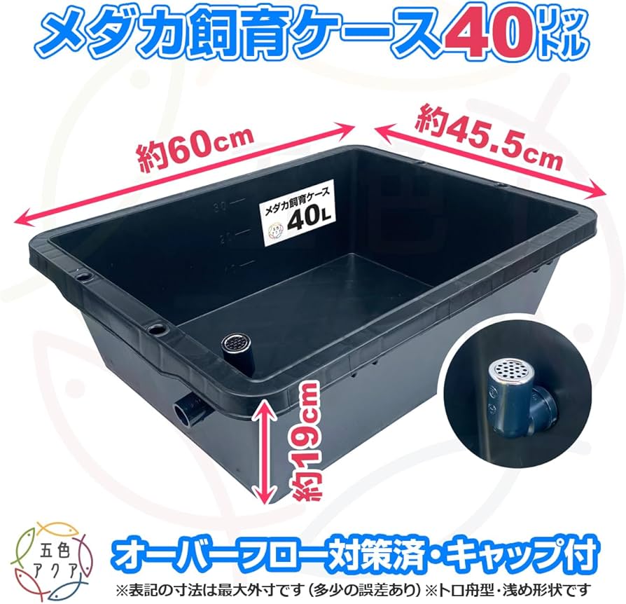Amazon | 五色アクア メダカ飼育ケース 40リットル 黒 オーバーフロー