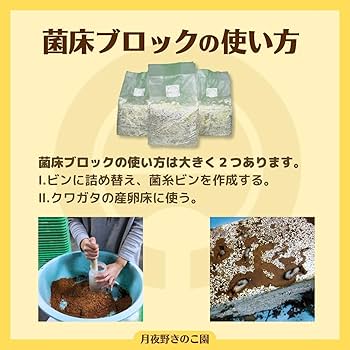 Amazon | 月夜野きのこ園 Basic 菌糸ブロック クワガタ幼虫飼育用 （1