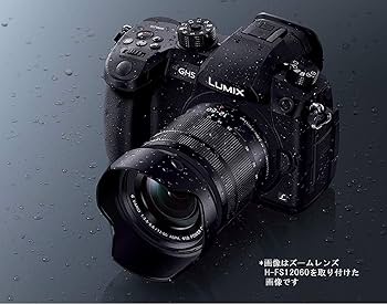 Amazon | パナソニック ミラーレス一眼カメラ ルミックス GH5 ボディ