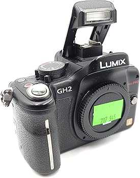 Amazon.com : Panasonic Lumix DMC-G1 12.1MP Micro Four Thirds