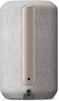 Amazon.com: Sony SRS-RA3000 360 Reality Audio Wi-Fi / Bluetooth