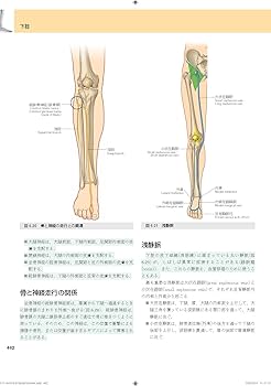 グレイ解剖学 原著第3版 電子書籍(日本語版・英語版)付 | Richard