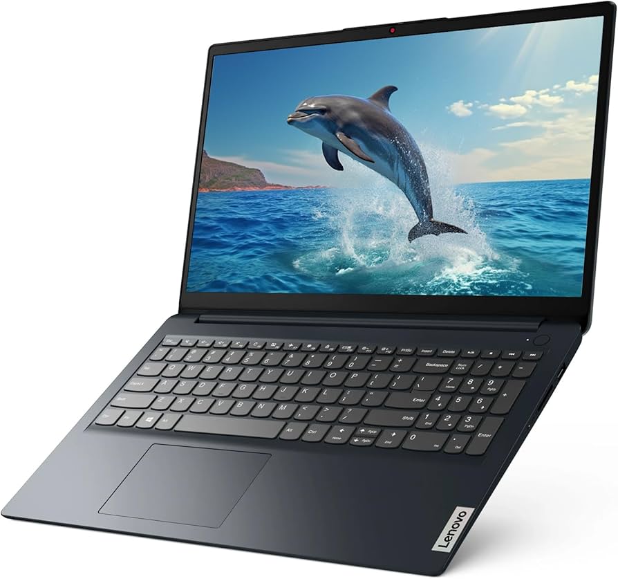 Amazon.com: Lenovo IdeaPad 1 15.6