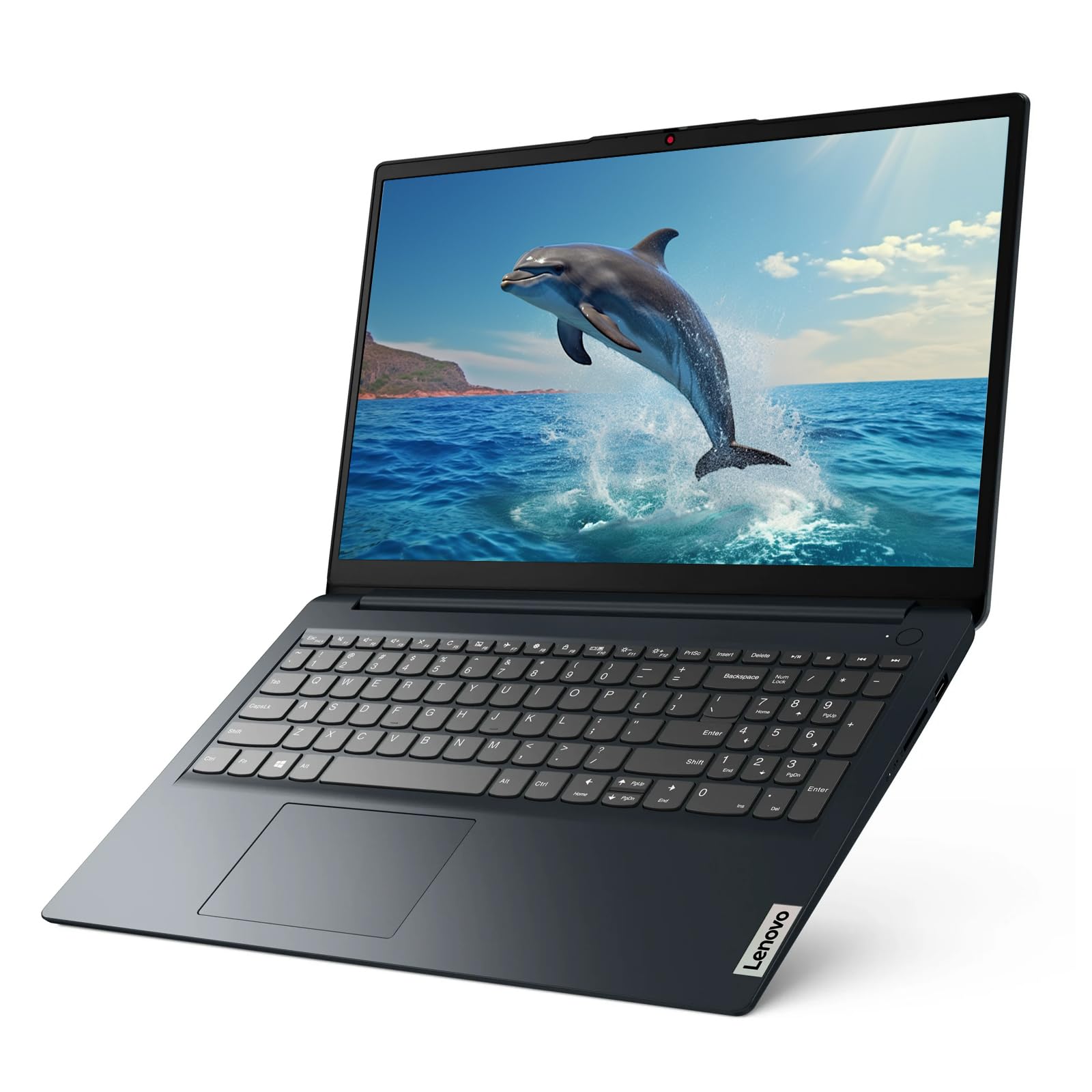 Amazon.com: Lenovo IdeaPad 1 15.6