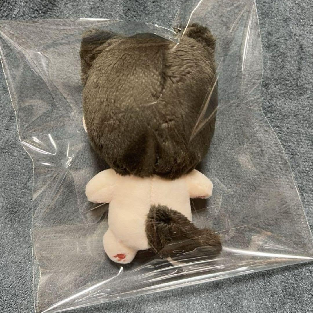 Amazon.co.jp: ユンギ ぬいぐるみ 10cm マスター BTS : おもちゃ