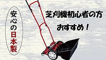 Amazon | キンボシ(Kinboshi) 金星 ゴールデンスター【Amazon.co.jp