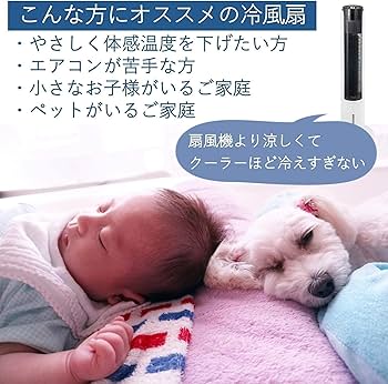 Amazon | [山善] 冷風扇 冷風機 左右自動首振り 切タイマー 室温
