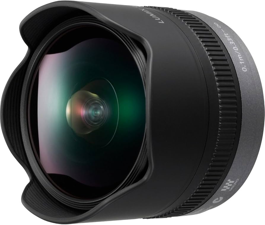 Amazon.com : PANASONIC LUMIX G FISHEYE Lens, 8MM, F3.5, MIRRORLESS