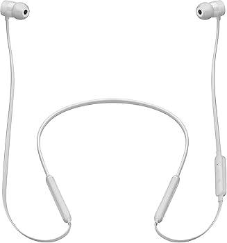 Amazon.com: BeatsX Earphones - Satin Silver (Renewed) : Electronics