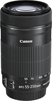Amazon.co.jp: Canon レンズ EF-S55-250mm F4-5.6 IS STM : 家電＆カメラ