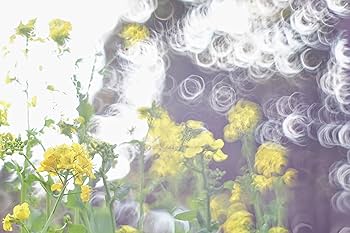 Amazon | オールドレンズ 神レンズ M42 Super Takumar 55mm f1.8 宝石