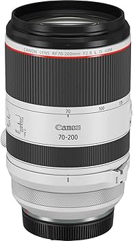 Amazon.com : Canon RF70-200mm F2.8 L is USM Lens, Mirrorless