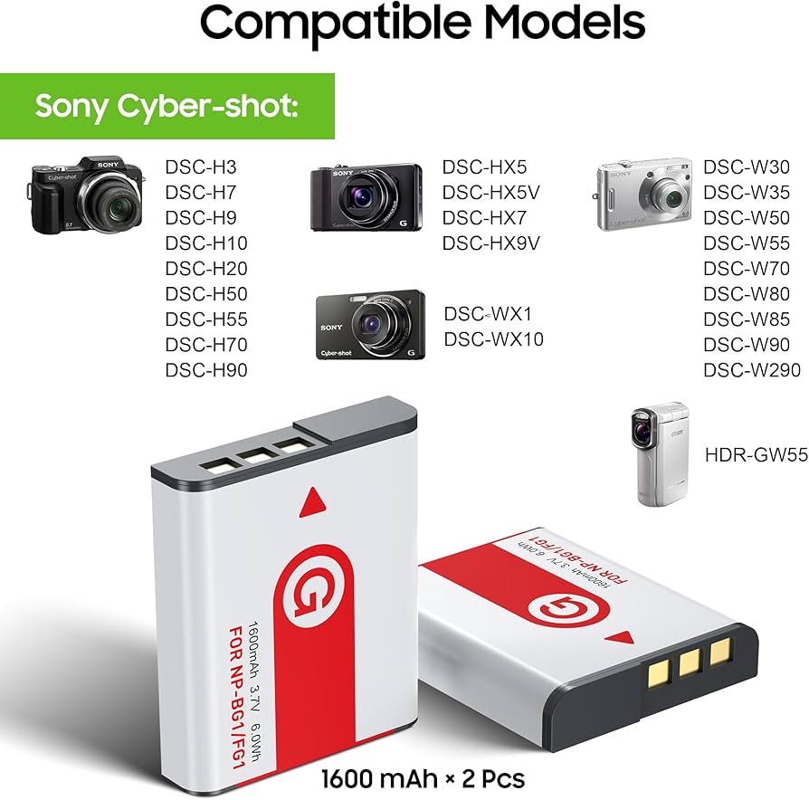 Amazon.com: NP-BG1 Battery(2-Pack) and Charger(2CH) Set,Digital